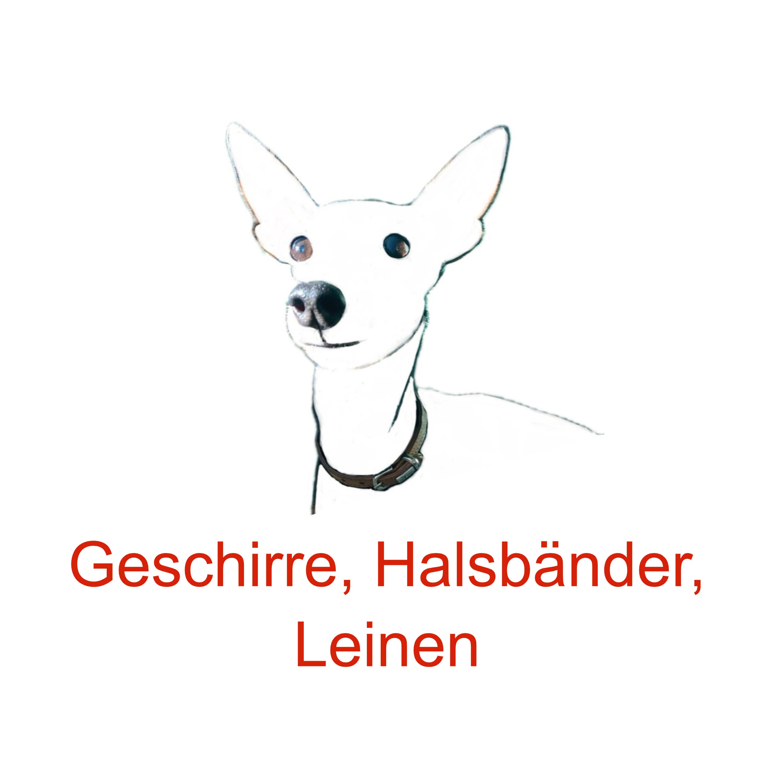 Strichzeichnung eines Hundes mit Schriftzug Geschirre, Halsbänder, Leinen