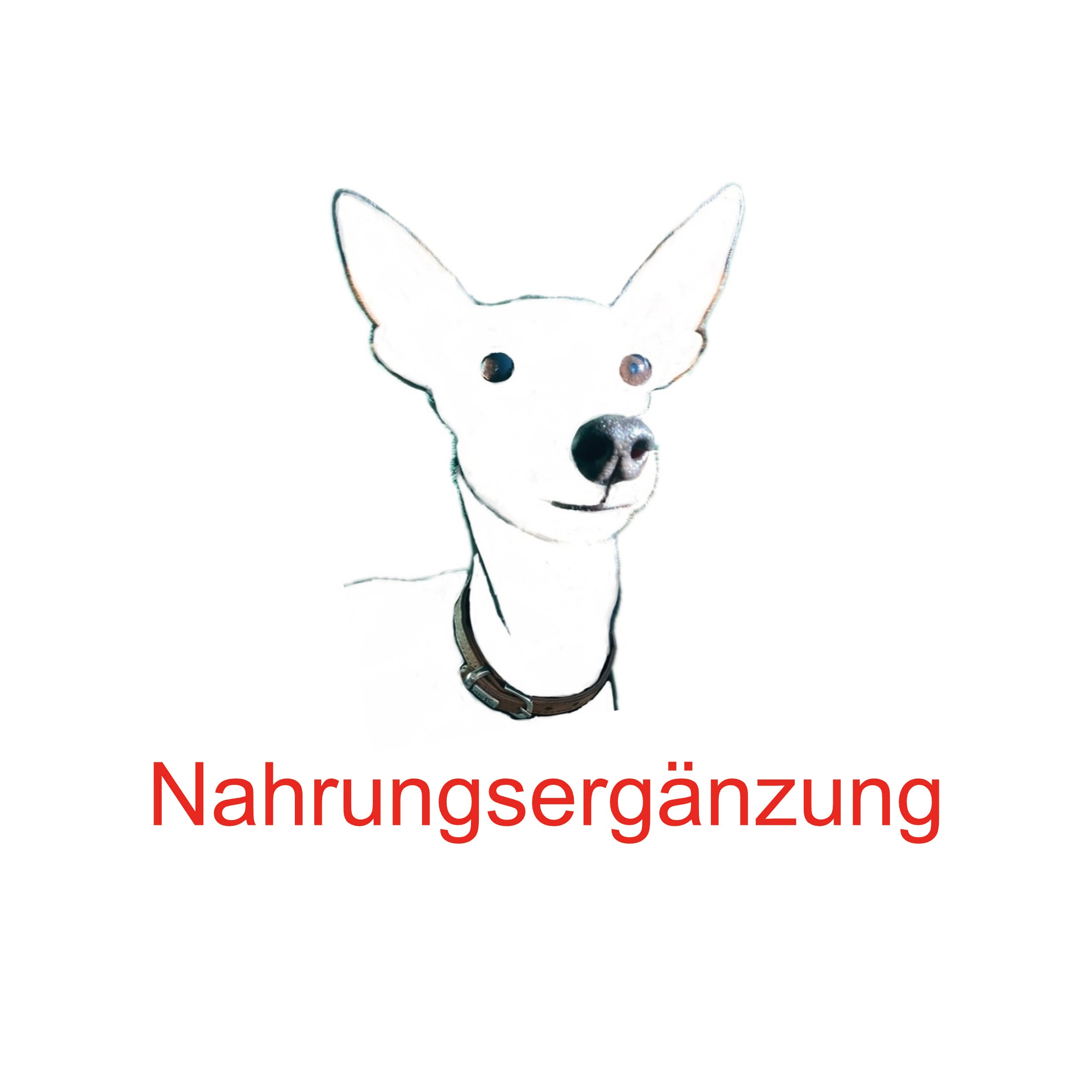 Strichzeichnung eines Hundes mit Schriftzug Nahrungsergänzung