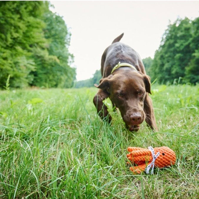 Oranger Laboni Hundespielzeug-Tintenfisch „Thaddäus“ mit weichen Tentakeln aus strapazierfähigem Stoff 
