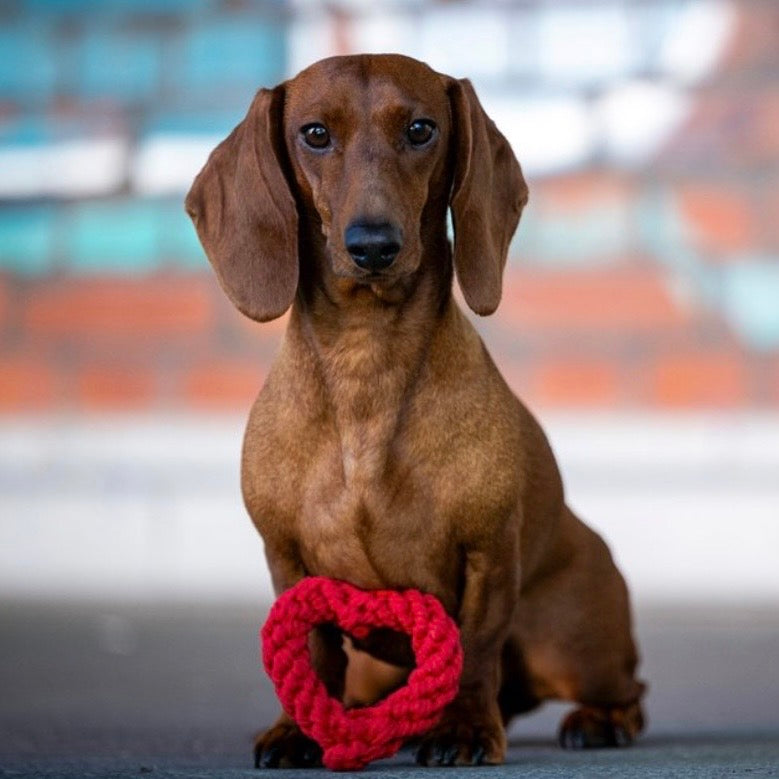 LABONI Mini Heart – handgefertigtes Tau-Hundespielzeug in Herzform aus robuster Baumwolle, ideal für Zerren, Kauen und gemeinsames Spielen