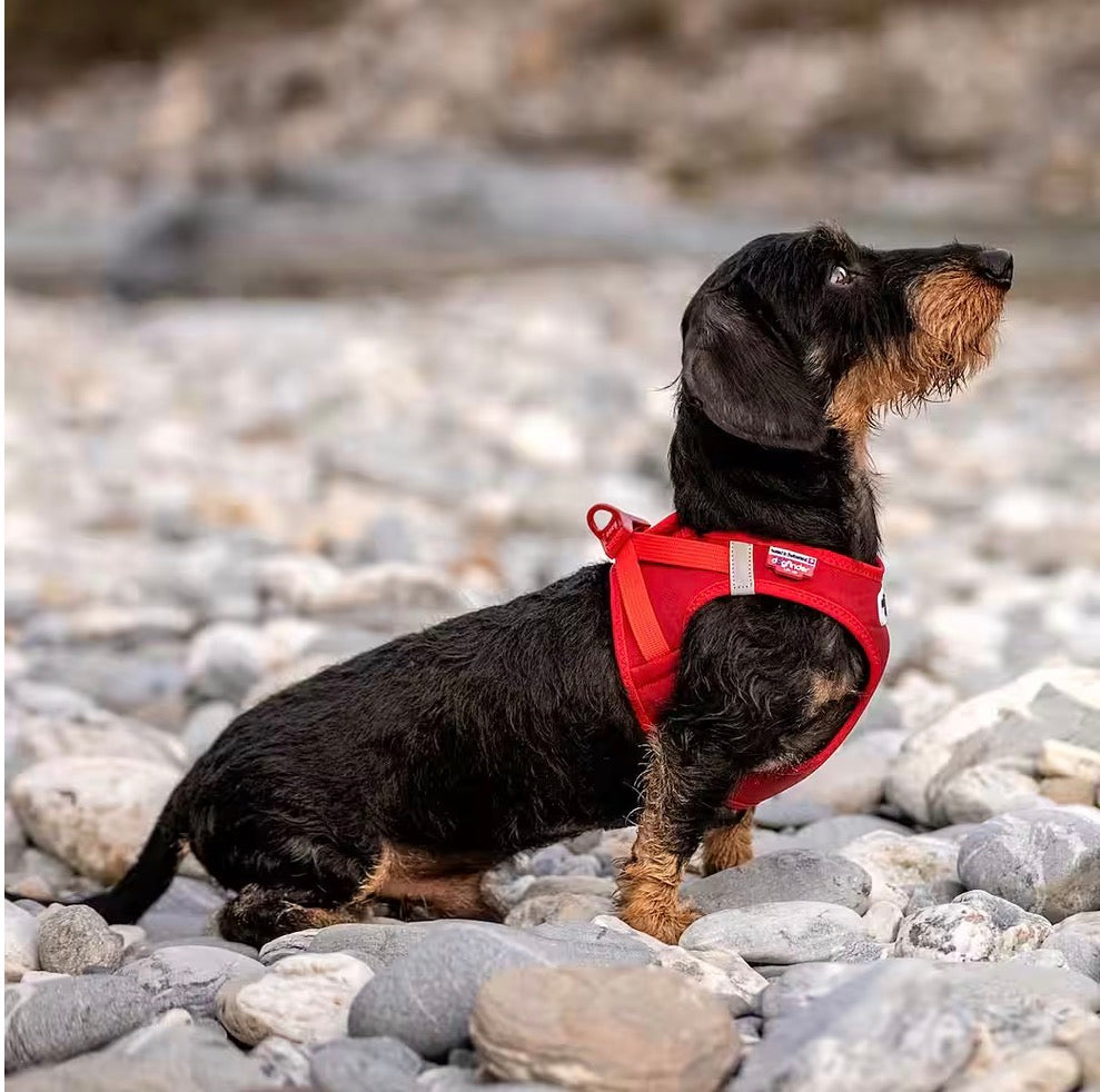Curli Vest Geschirr "Curli Clasp" Air-Mesh Softshell Rot