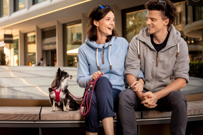 Mann und Frau sitzend, daneben ihr Hund mit rotem Geschirr