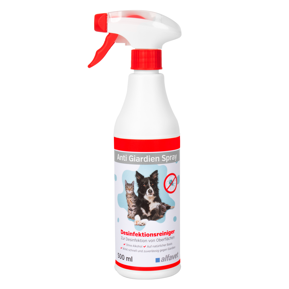 Alfavet Anti Giardien Oberflächendesinfektion Spray 500ml