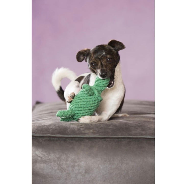 Laboni Hundespielzeug „Tina Turtle“ in Schildkrötenform aus robustem, hochwertigem Stoff 