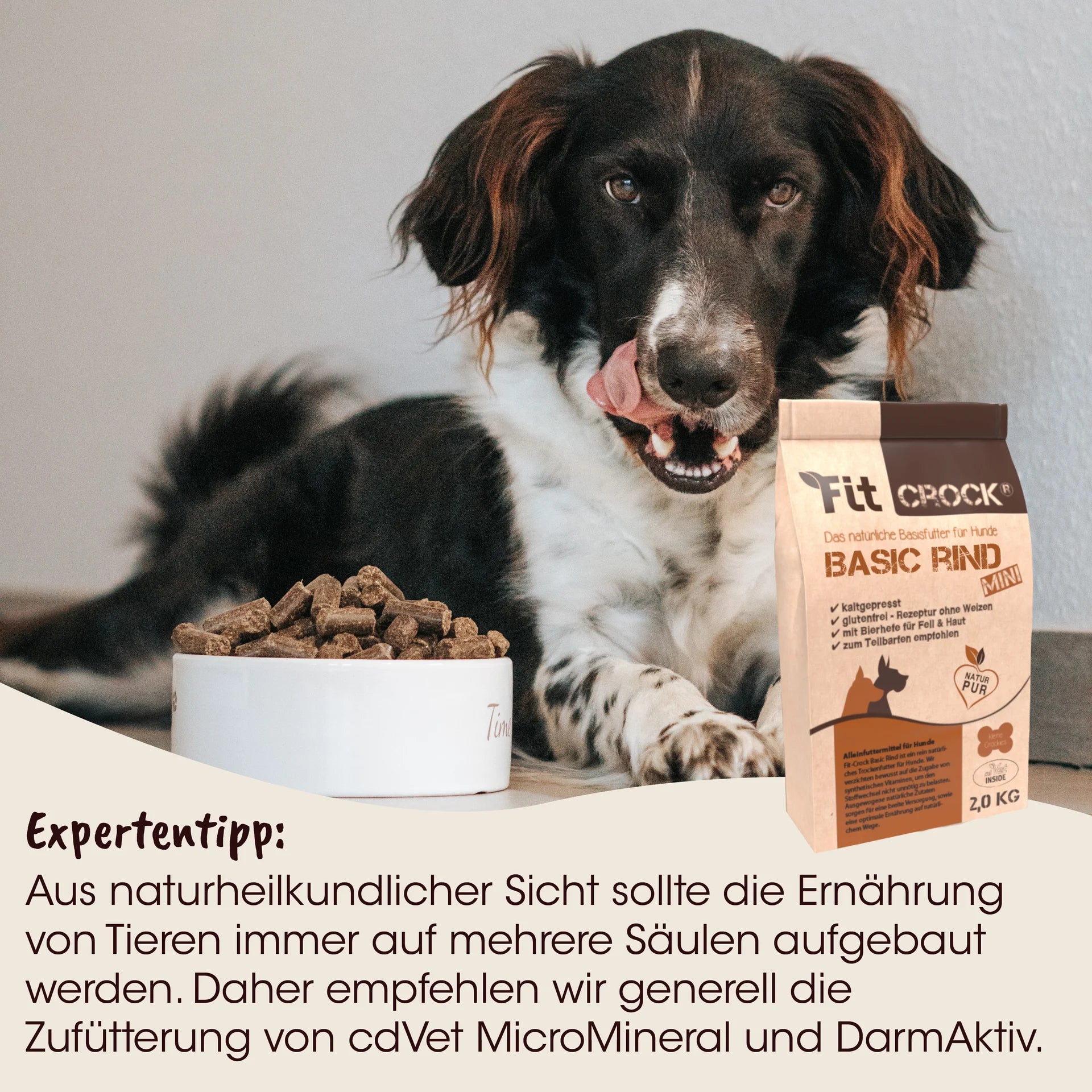 Hund mit Schale und Verpackung von FitCrock Basic Rind