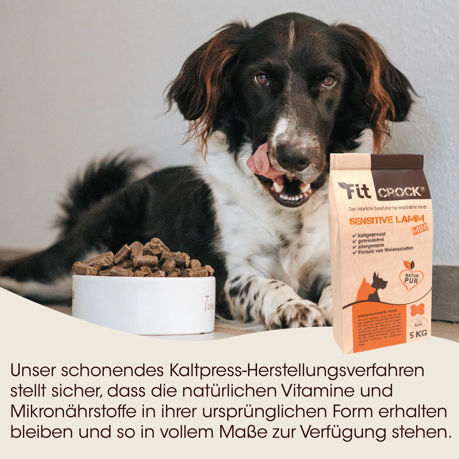 Schwarz weißer Hund vor Schale mit Hundefutter Pellets Sensitive Lamm