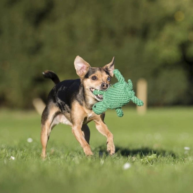 Laboni Hundespielzeug „Tina Turtle“ in Schildkrötenform aus robustem, hochwertigem Stoff 