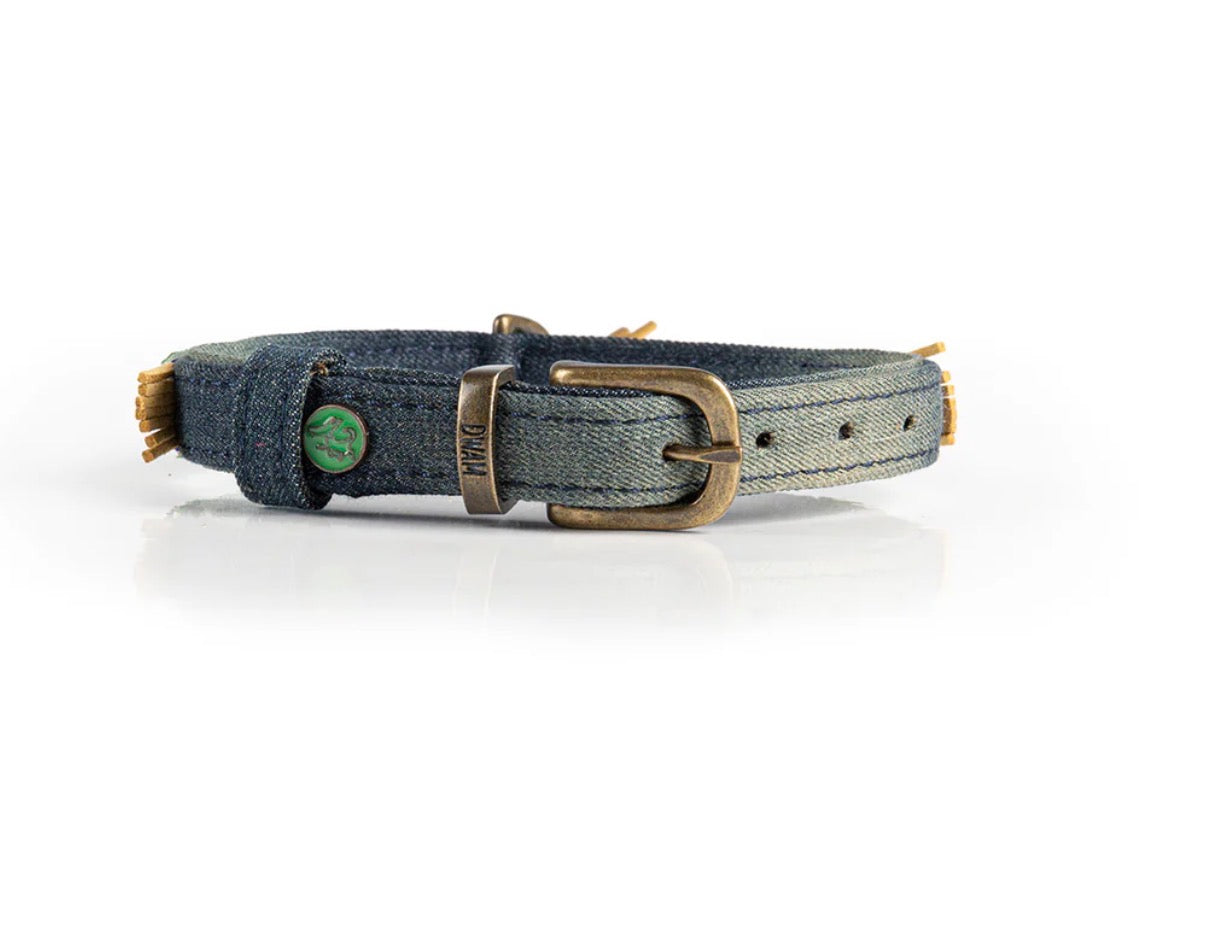 Denim Hundehalsband von hinten 