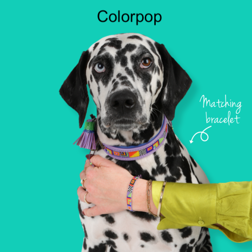 DWAM Perlenarmband „ColorPop“ mit bunten Perlen 