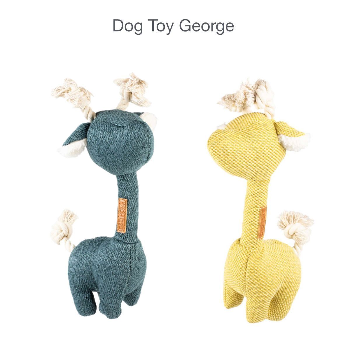 D&D Dog Toy George