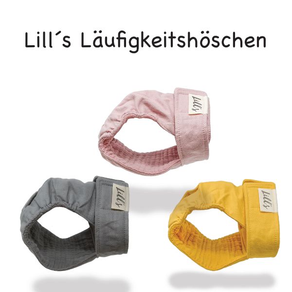 Lill´s Läufigkeitshöschen