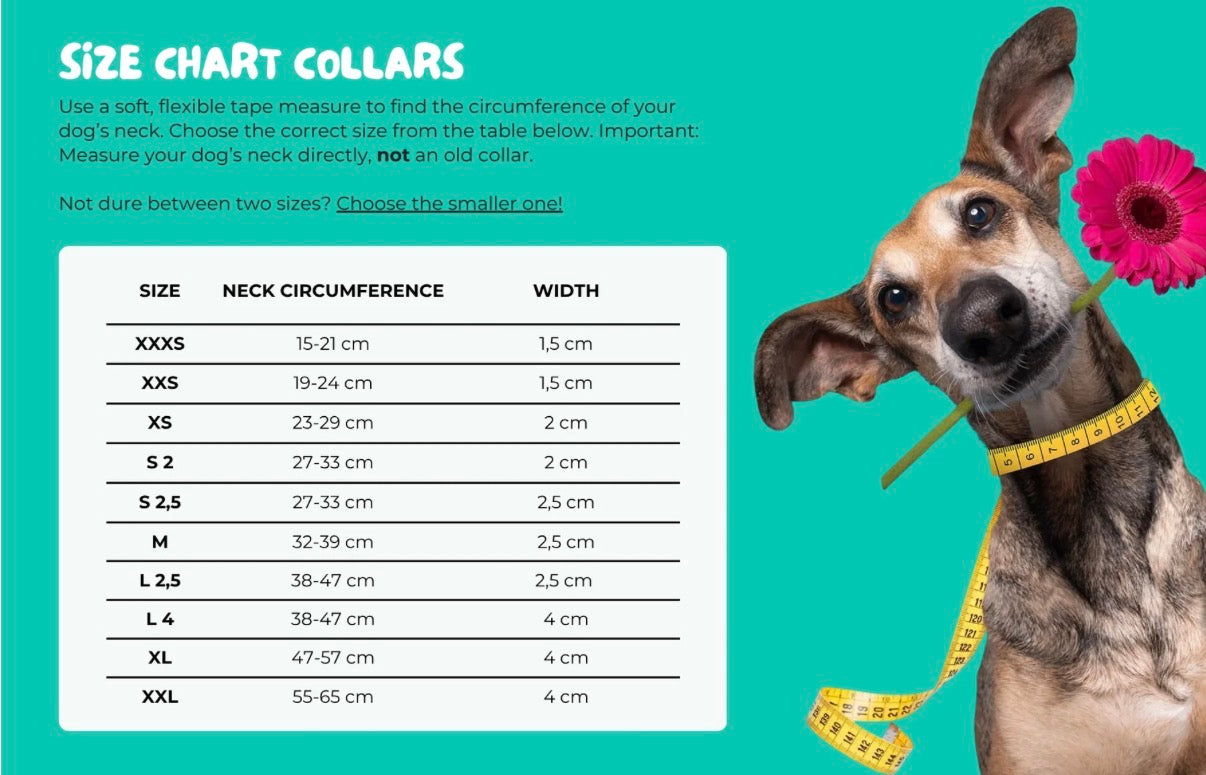 Größentabelle für die DWAM Hundehalsbänder 