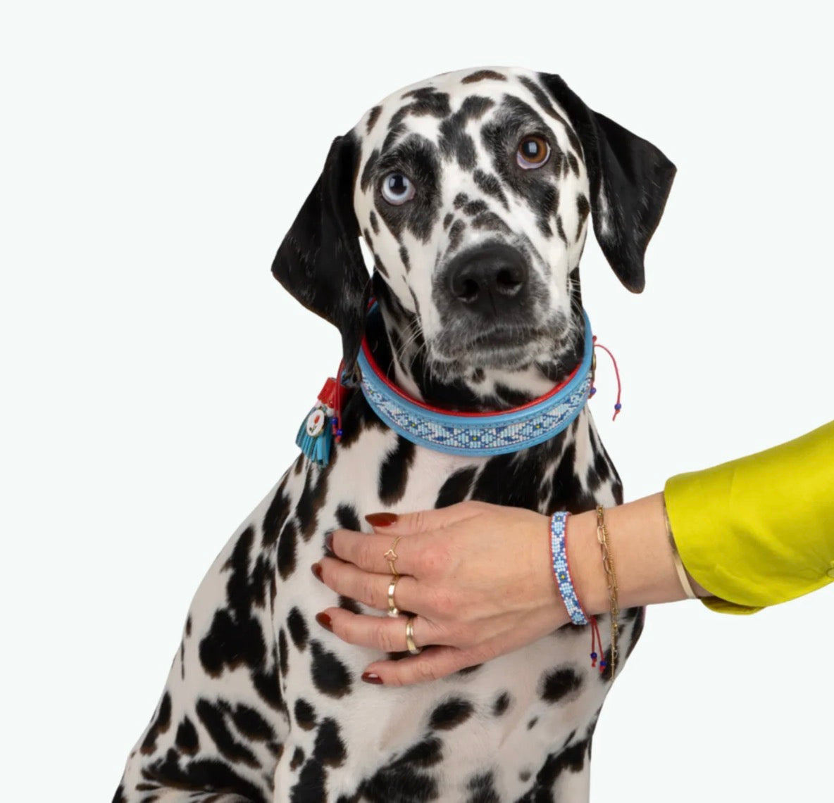 DWAM Perlenarmband „Dutchie“ mit bunten Perlen 