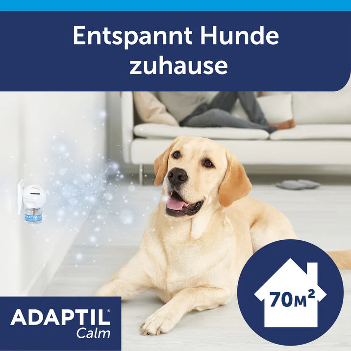 Hund atmet Adaptil Verdampfung ein