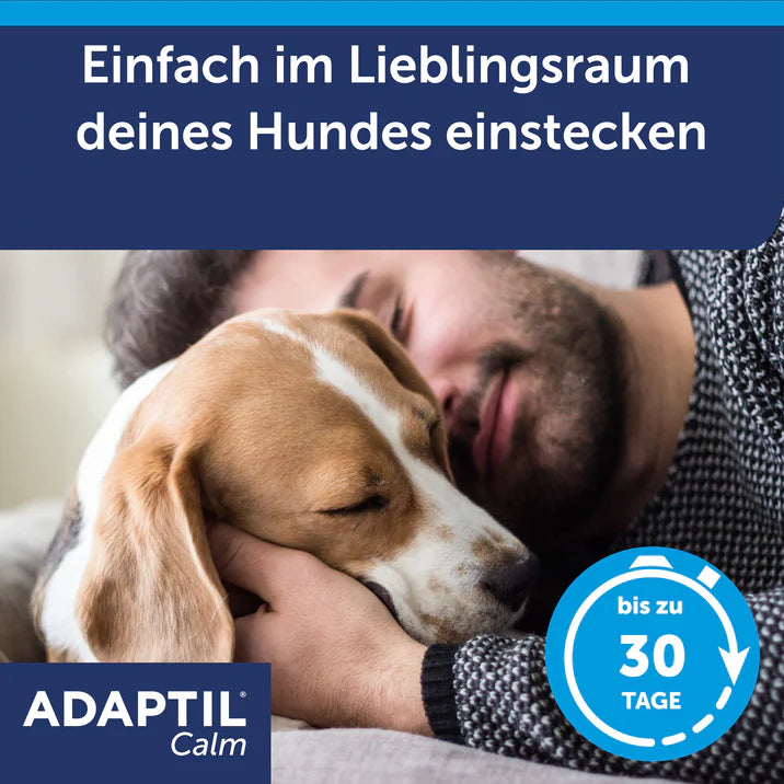 Mann kuschelt mit Hund Kopf an Kopf