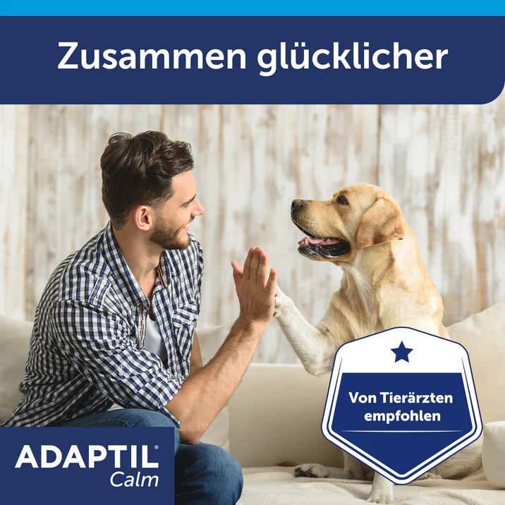 Hund und Mann geben sich die Hand / Pfote