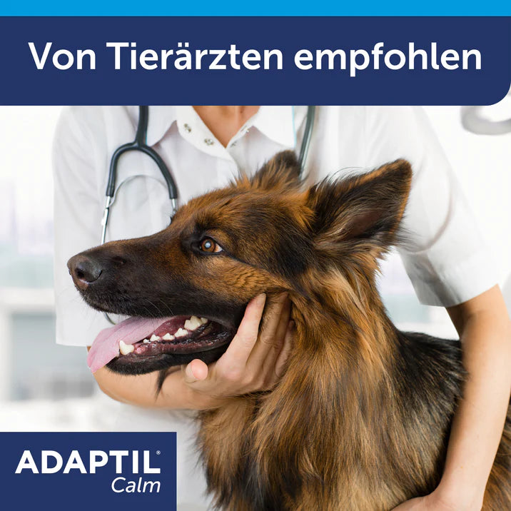 Tierarzt umfasst Schäferhund