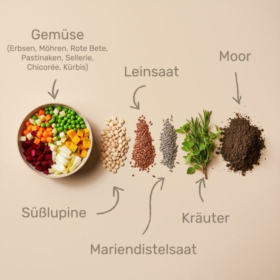 Das gesunde Tier Allegro