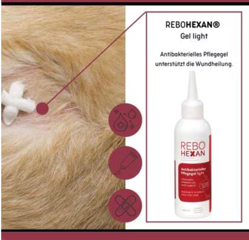 Hundedecke mit einer Verletzung und einer Information für das ReboHexan Gel 