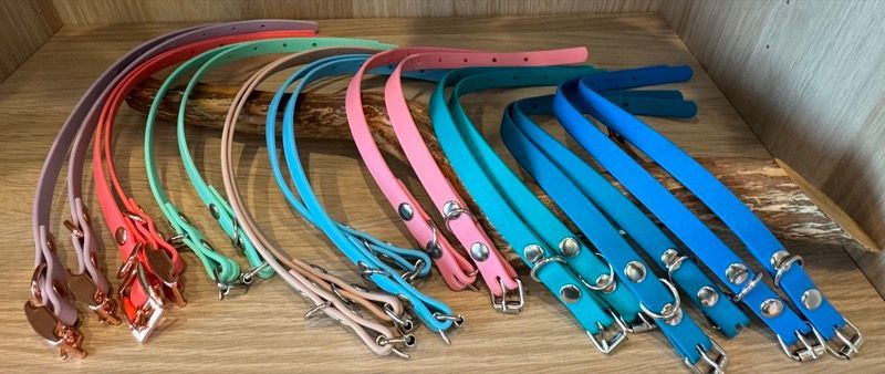 Biothane Halsbänder in verschiedenen Farben nebeneinander