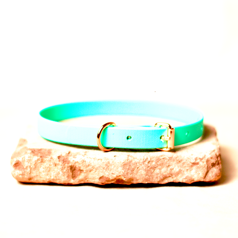 Biothane Halsband Karibikgrün 35cm
