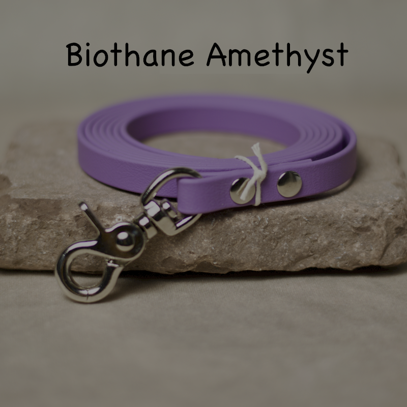 Biothane Führleinen 100 cm / 200 cm