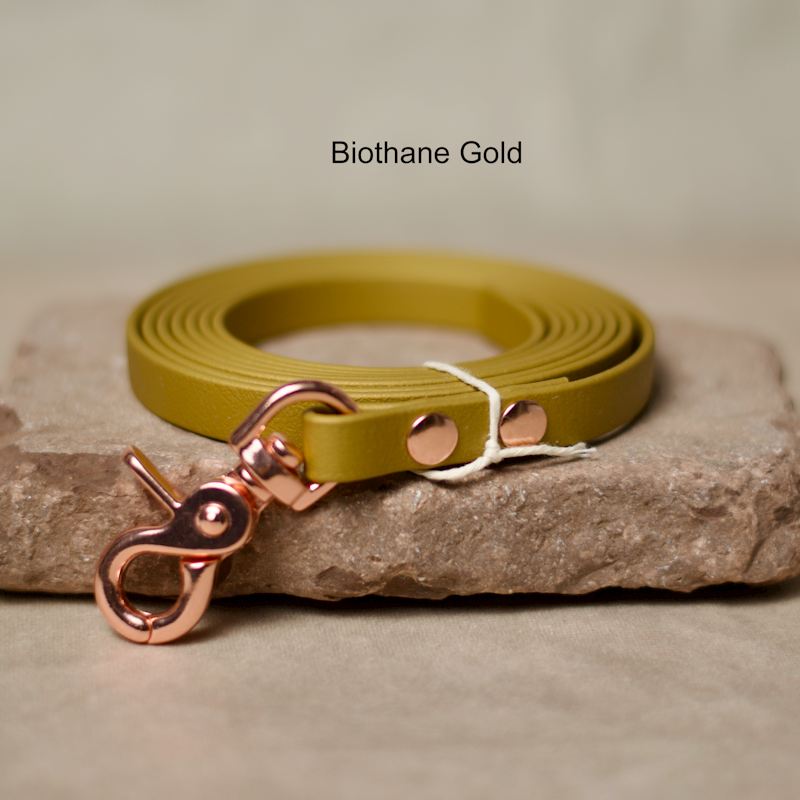 Biothane Leine Gold 2m