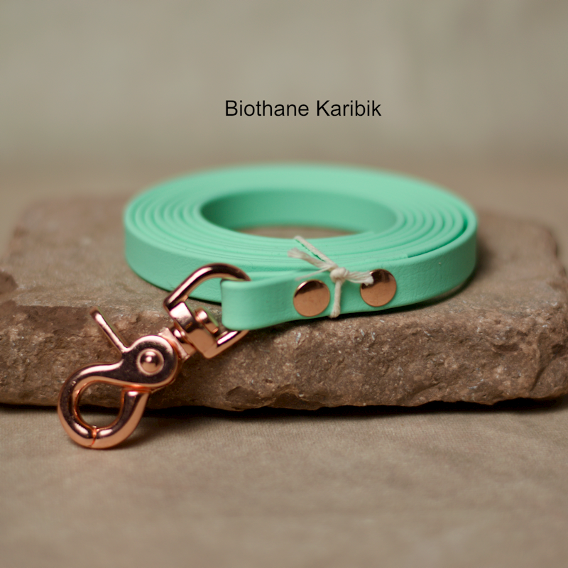 Biothane_Leine_Karibik_2m