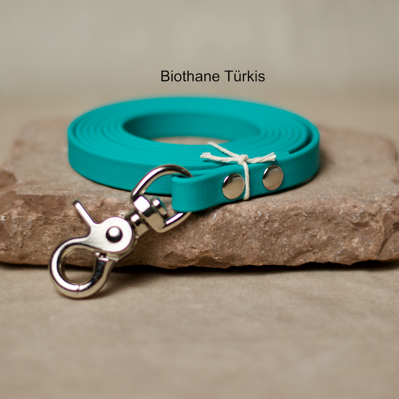Biothane Leine Tuerkis 2m