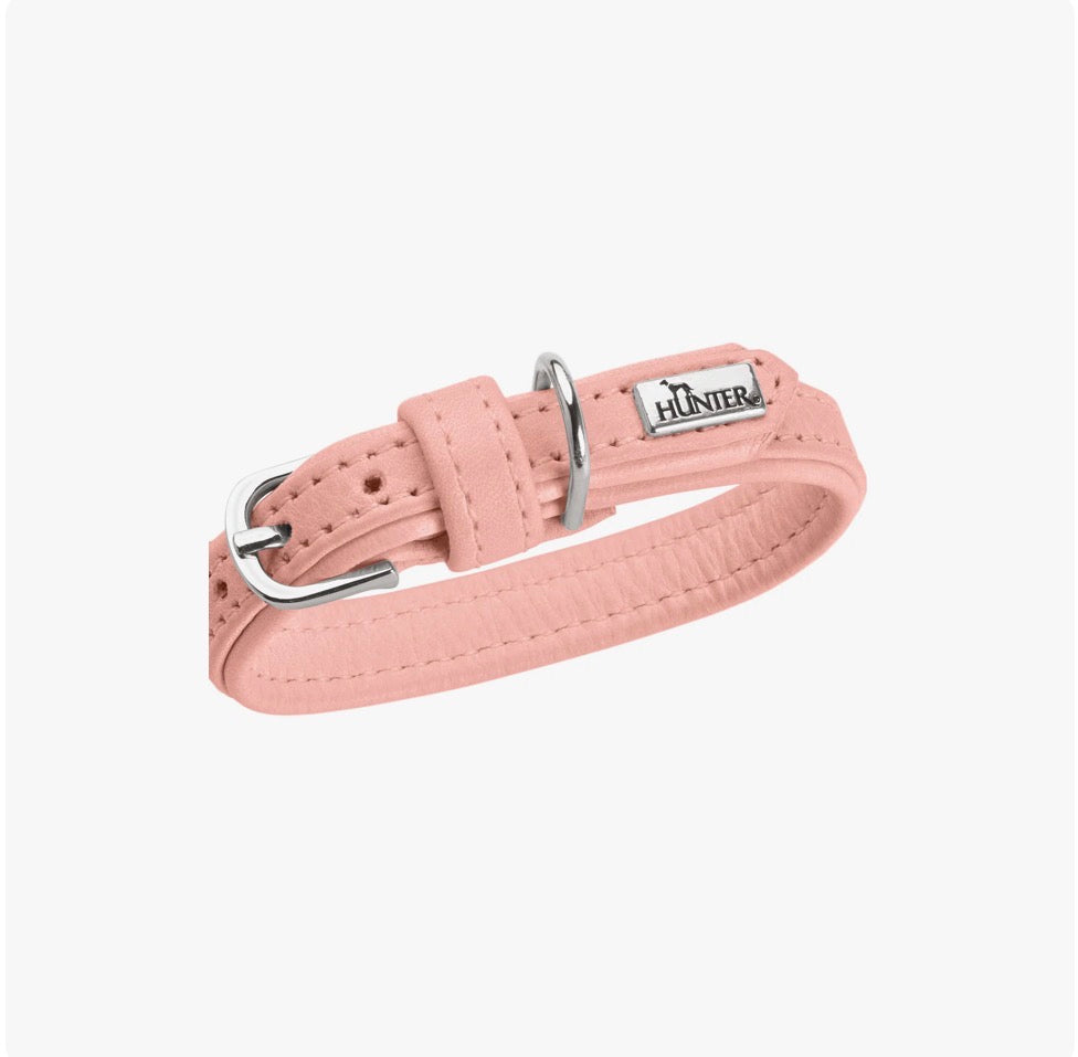 Hunter Halsband Soho Mini, schmales Lederhalsband mit hochwertiger Verarbeitung, ideal für kleine Hunde 