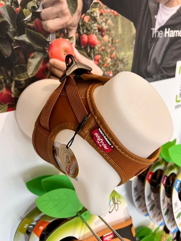 Hundegeschirr am Plastikmodell