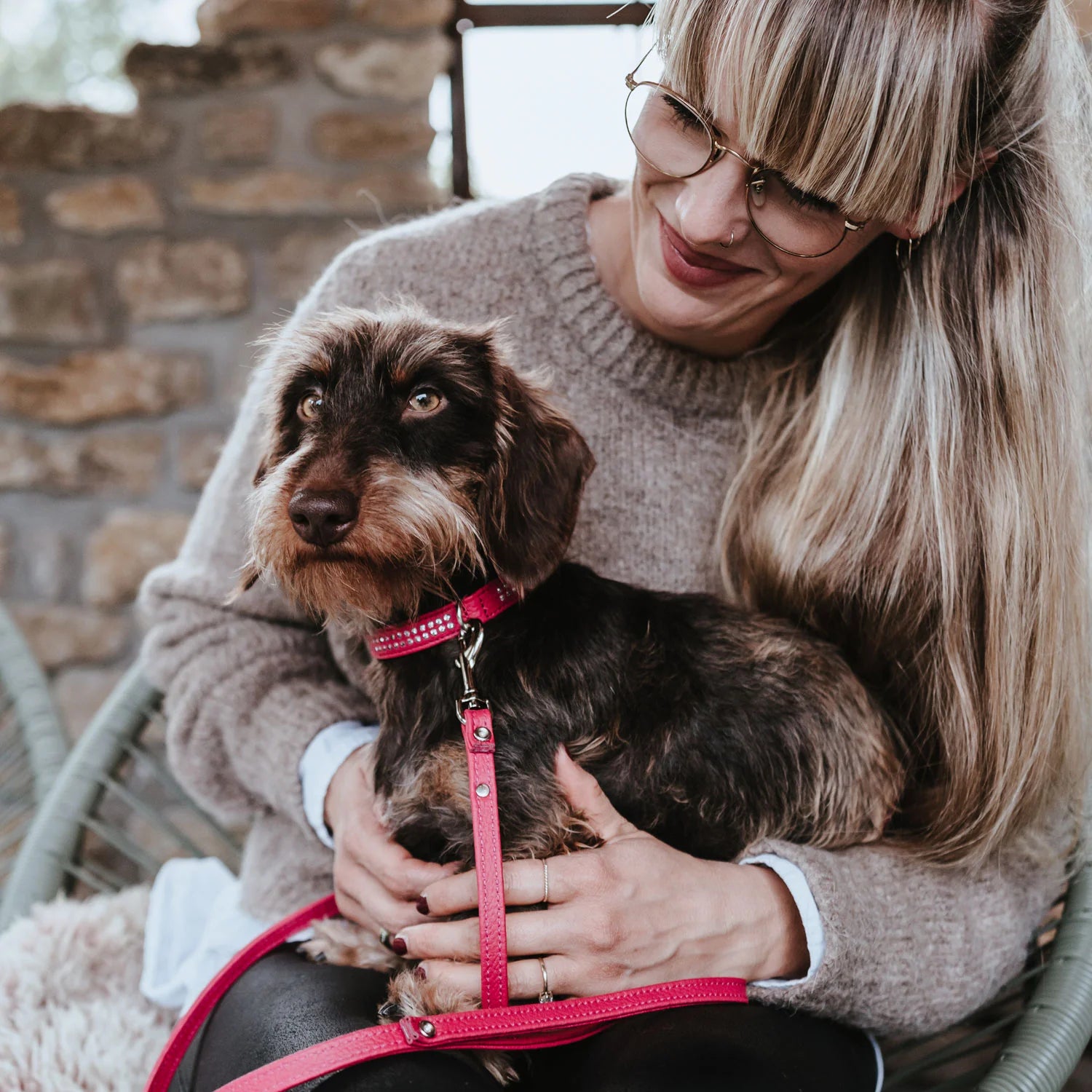 Dackel mit rosa Halsband auf Schoß einer Frau