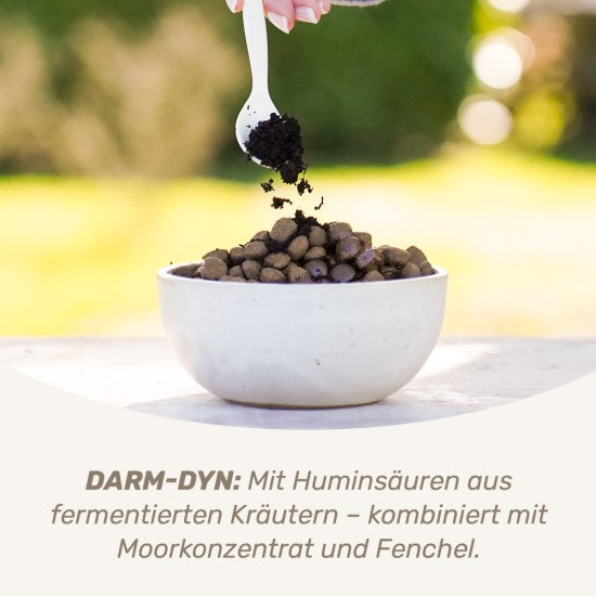 Das gesunde Tier Darmkur