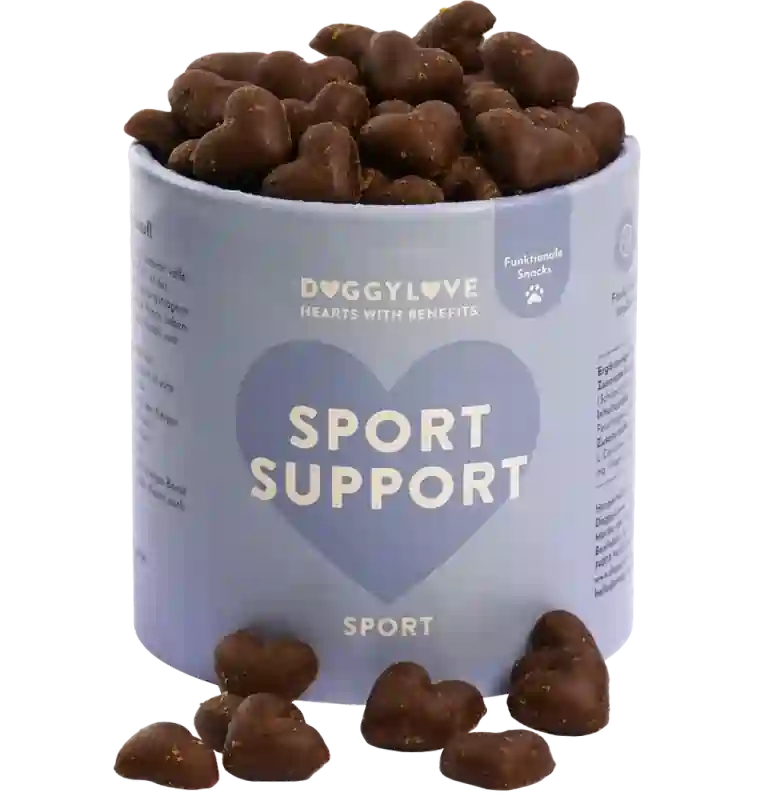 Violette Dose mit Hundeleckerlis