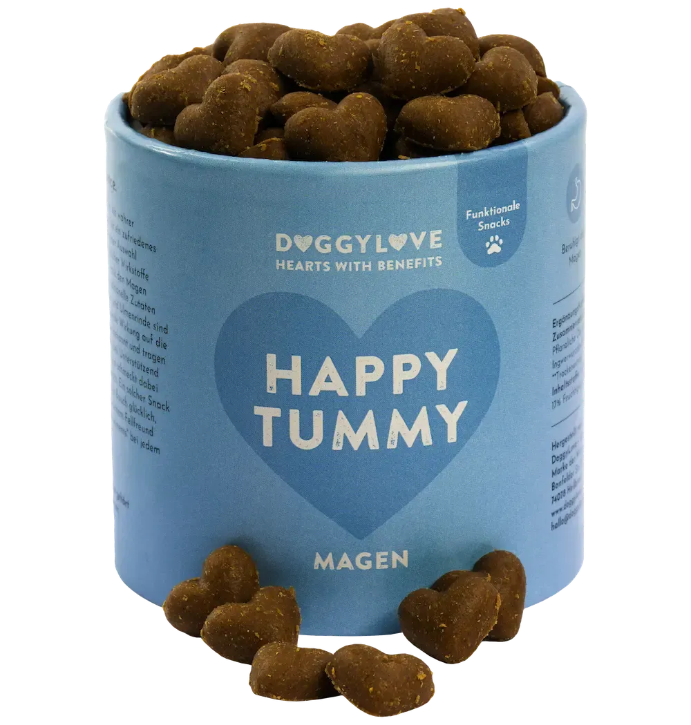 Blaue Dose mit herzförnigen Leckerlis