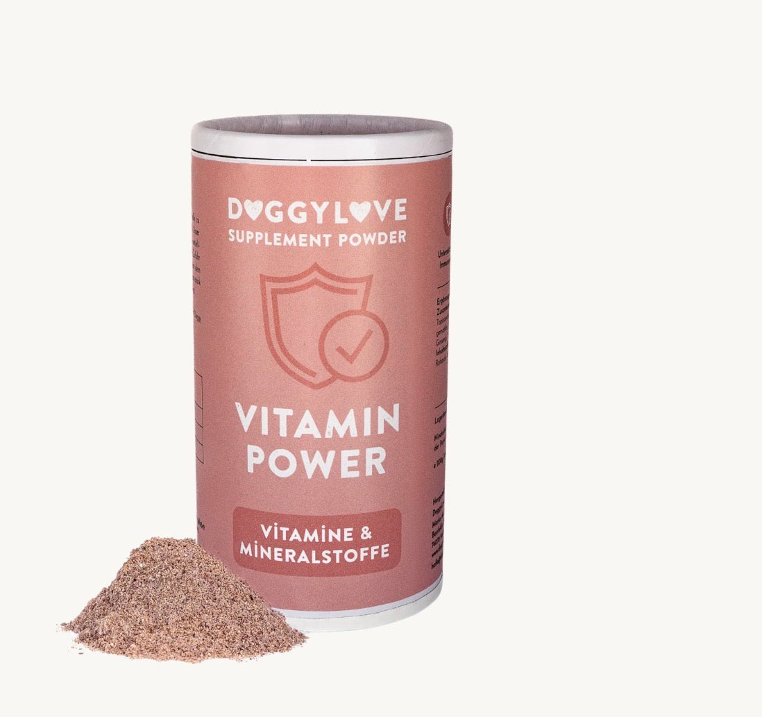 Eine Dose Vitamine und Mineralstoffe in Pulverform von der Firma Doggylove 