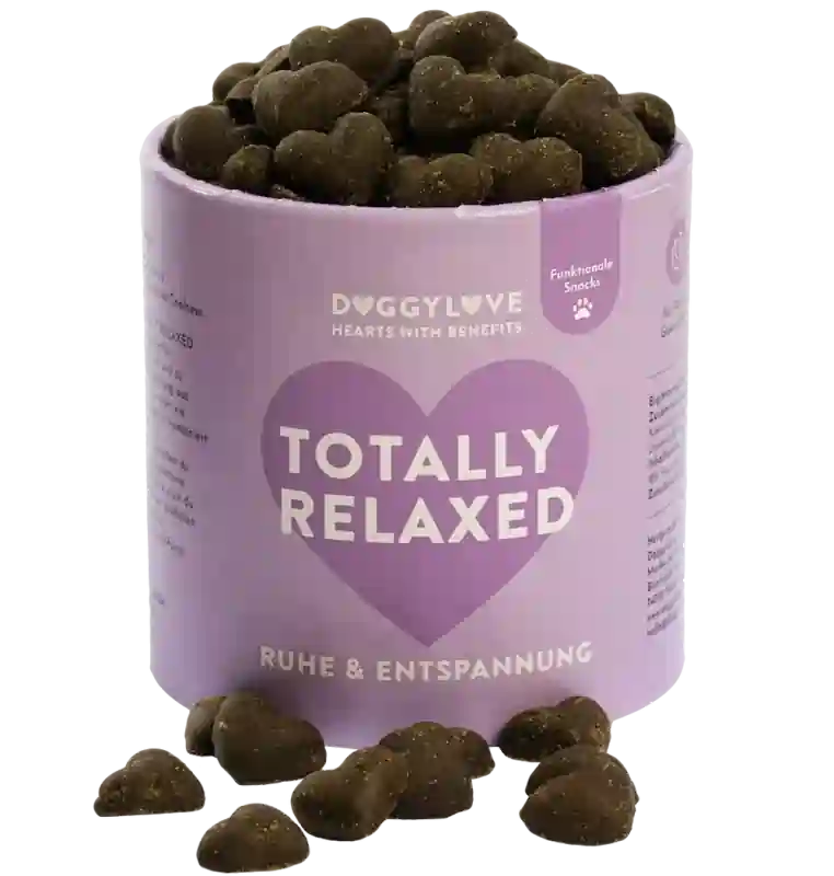 lila Dose mit herzförmigen Hundeleckerlis