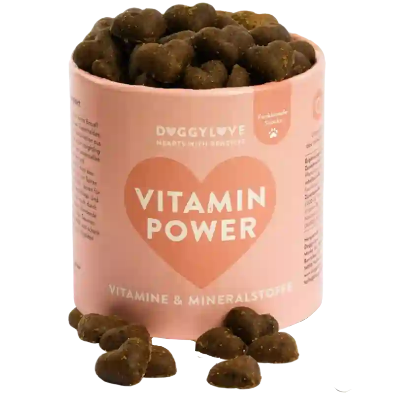 Orangene Dose mit herzförmigen Hundeleckerlis