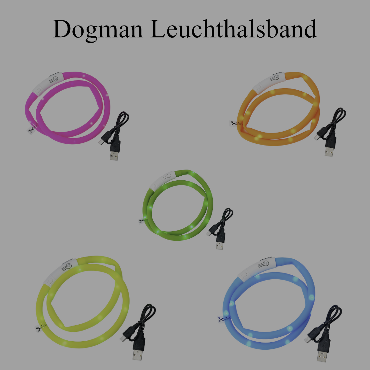 Dogman Leuchthalsbänder alle 5 Farben