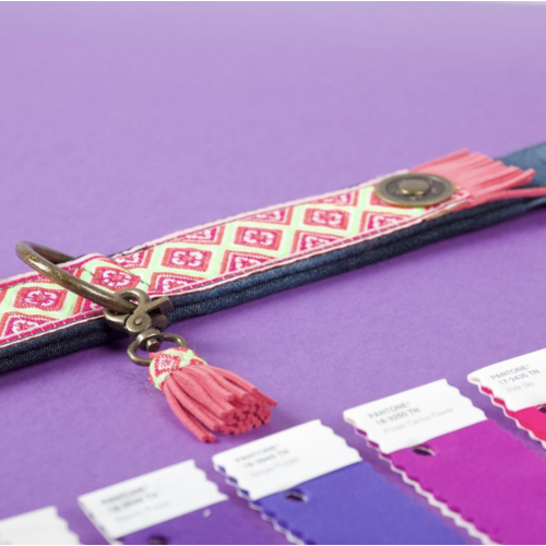 Ausschnitt eines Hundehalsband Besatzes