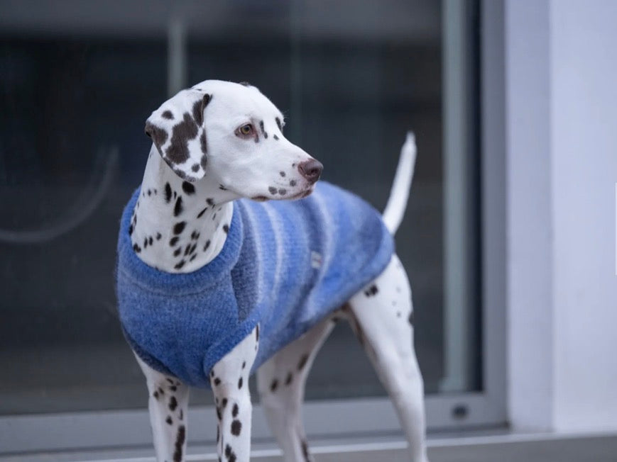 Wolters Strickpullover Sky oversized