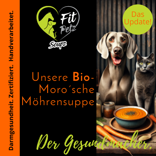 Logo FitPetz und Grafik mit Hund und Katze vor einer Schale Möhrensuppe.Schriftzug: Der Gesundmachen