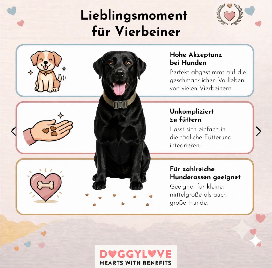 Gründe für Doggylove 