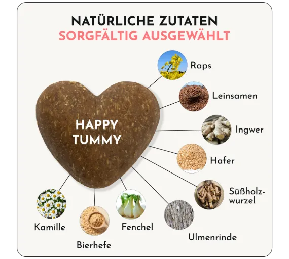 DOGGYLOVE Happy Tummy