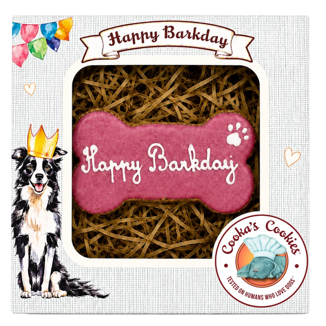 Verpackte Hundekeks‑Geburtstagsleckerei in Knochenform mit roter Glasur und weißem Schriftzug „Happy Barkday“, dekorativ auf Strohmaterial in einer Geschenkbox mit Wimpelkette, Krönchen‑Hundillustration und „Cooka’s Cookies“-Logo.