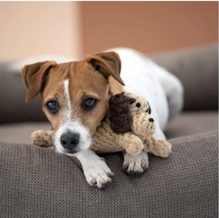 Einen Hund der in seinem Hundebett liegt mit einem Hundespielzeug neben sich