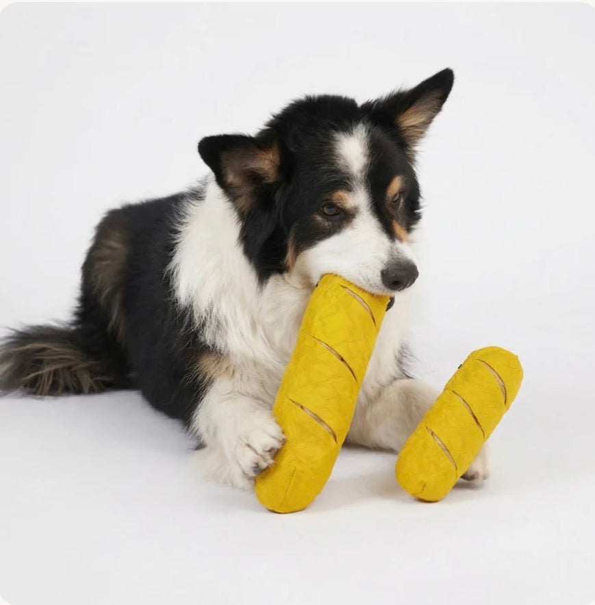 Hund spielt mit Redoggo Baguette Hundespielzeug klein und groß 
