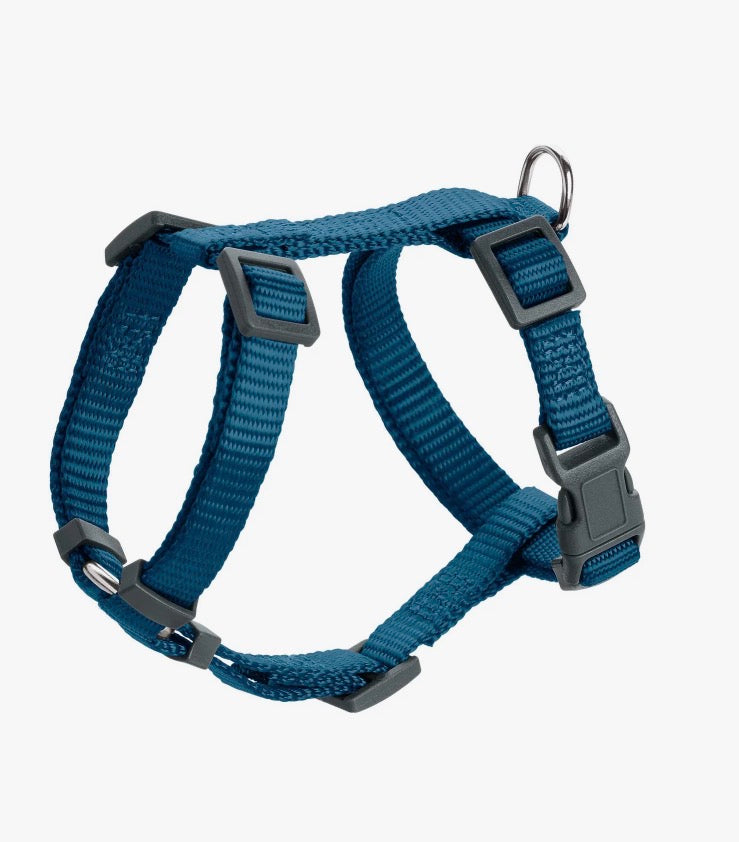 Ein Hundegeschirr in der Farbe dunkelblau 