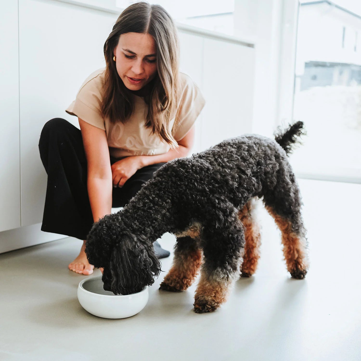 Frau hockt vor Pudel der aus Hundenapf frisst