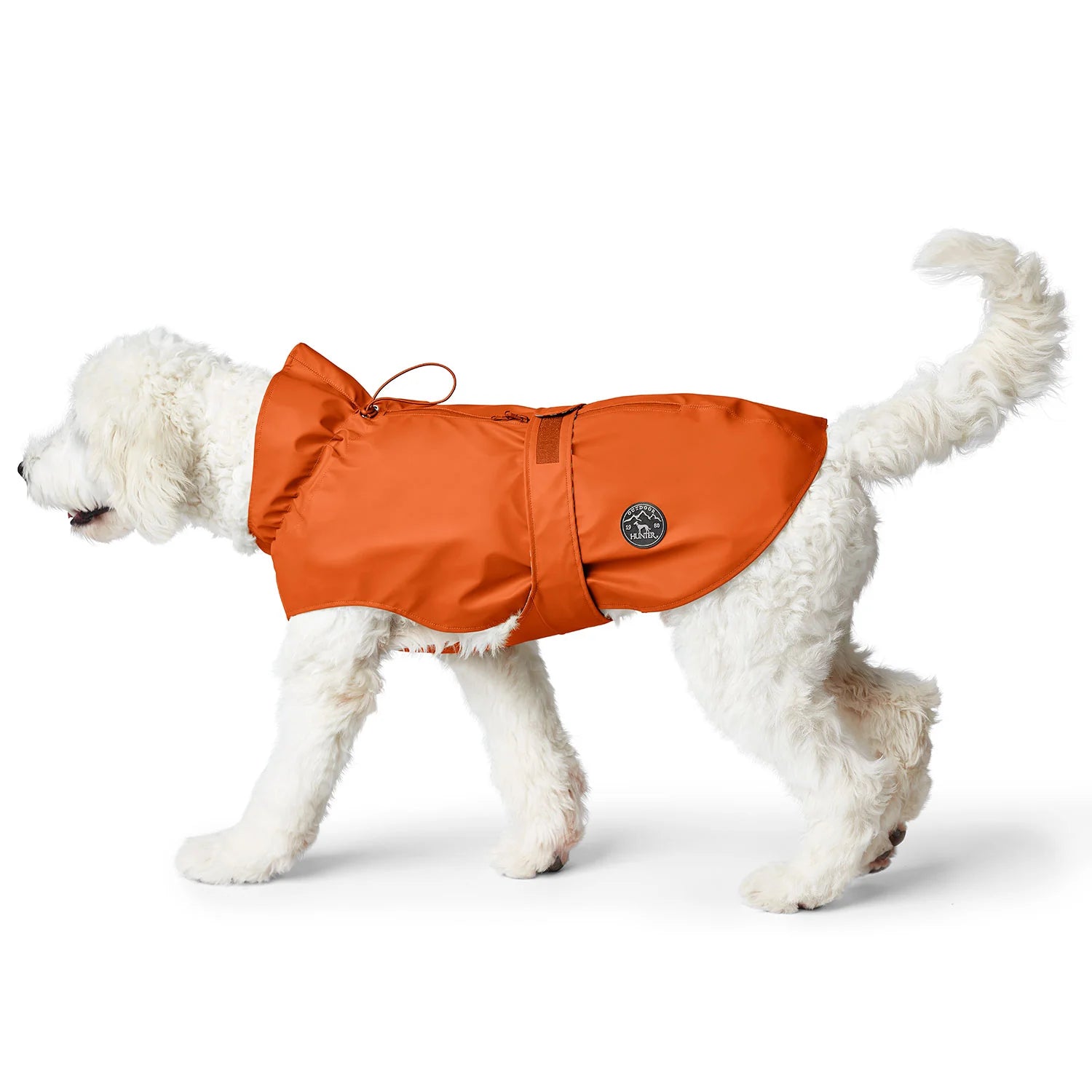 Weißer Hund trägt einen orangen Regenmantel mit verstellbarer Kapuze und Bauchverschluss.
